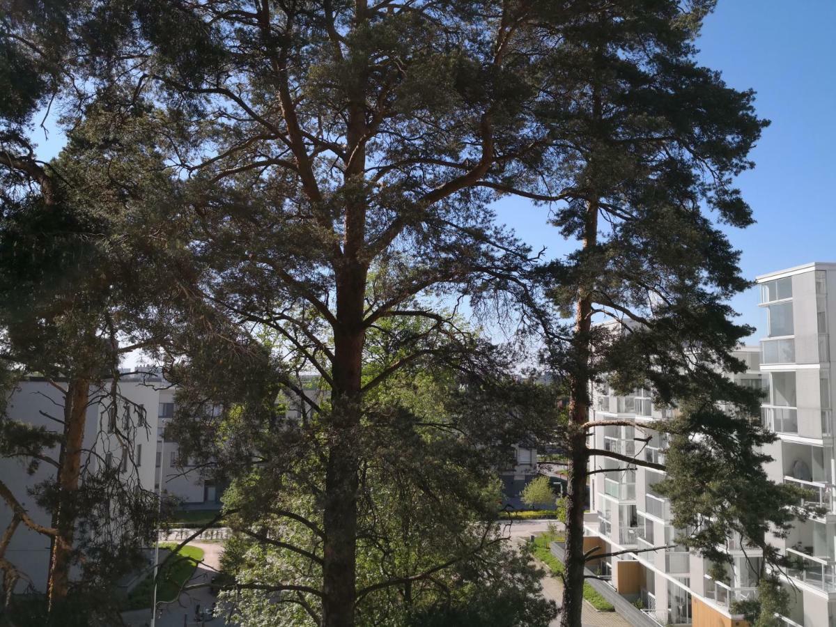 Charming Pine View Apartment 반타 외부 사진